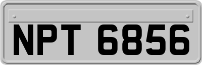 NPT6856