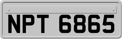 NPT6865