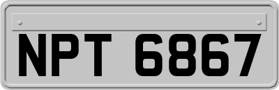 NPT6867