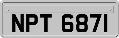 NPT6871