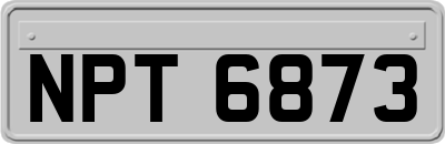NPT6873