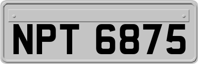 NPT6875