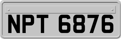 NPT6876