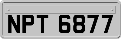 NPT6877