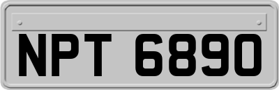 NPT6890
