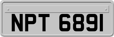 NPT6891
