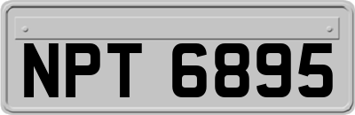 NPT6895