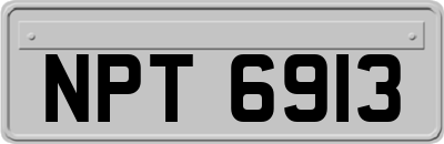 NPT6913