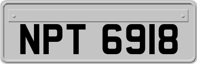 NPT6918