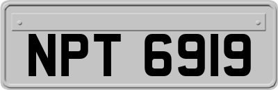 NPT6919