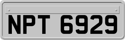 NPT6929