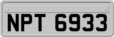 NPT6933