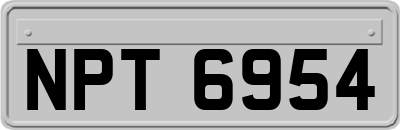 NPT6954