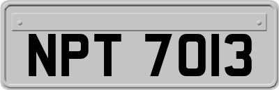 NPT7013