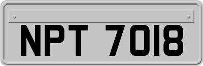 NPT7018