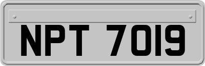 NPT7019