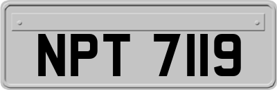 NPT7119