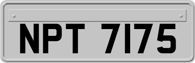 NPT7175