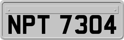 NPT7304