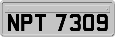 NPT7309