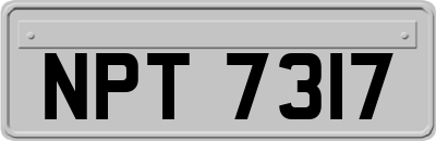 NPT7317