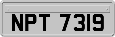 NPT7319