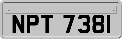 NPT7381