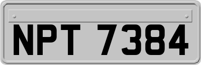 NPT7384