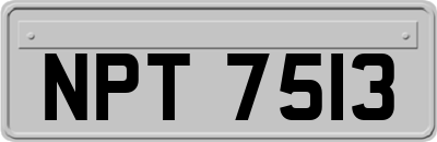 NPT7513