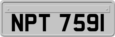 NPT7591