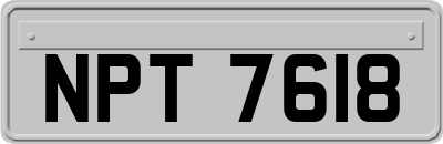 NPT7618
