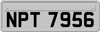 NPT7956