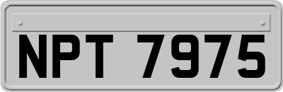 NPT7975