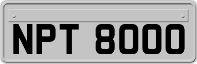 NPT8000