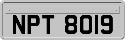 NPT8019