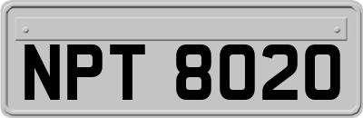 NPT8020