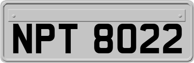 NPT8022