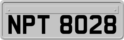 NPT8028