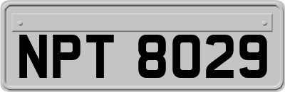 NPT8029