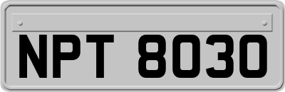 NPT8030
