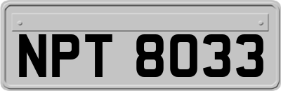 NPT8033