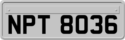 NPT8036