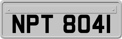 NPT8041