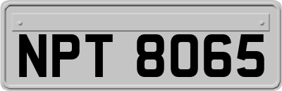 NPT8065