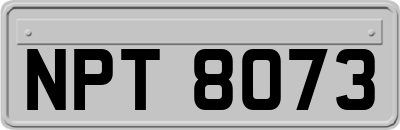 NPT8073