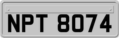 NPT8074