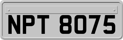 NPT8075