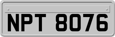 NPT8076