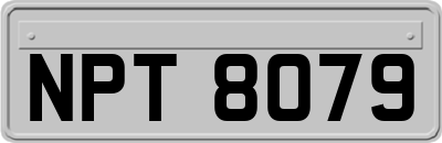 NPT8079