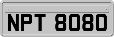 NPT8080